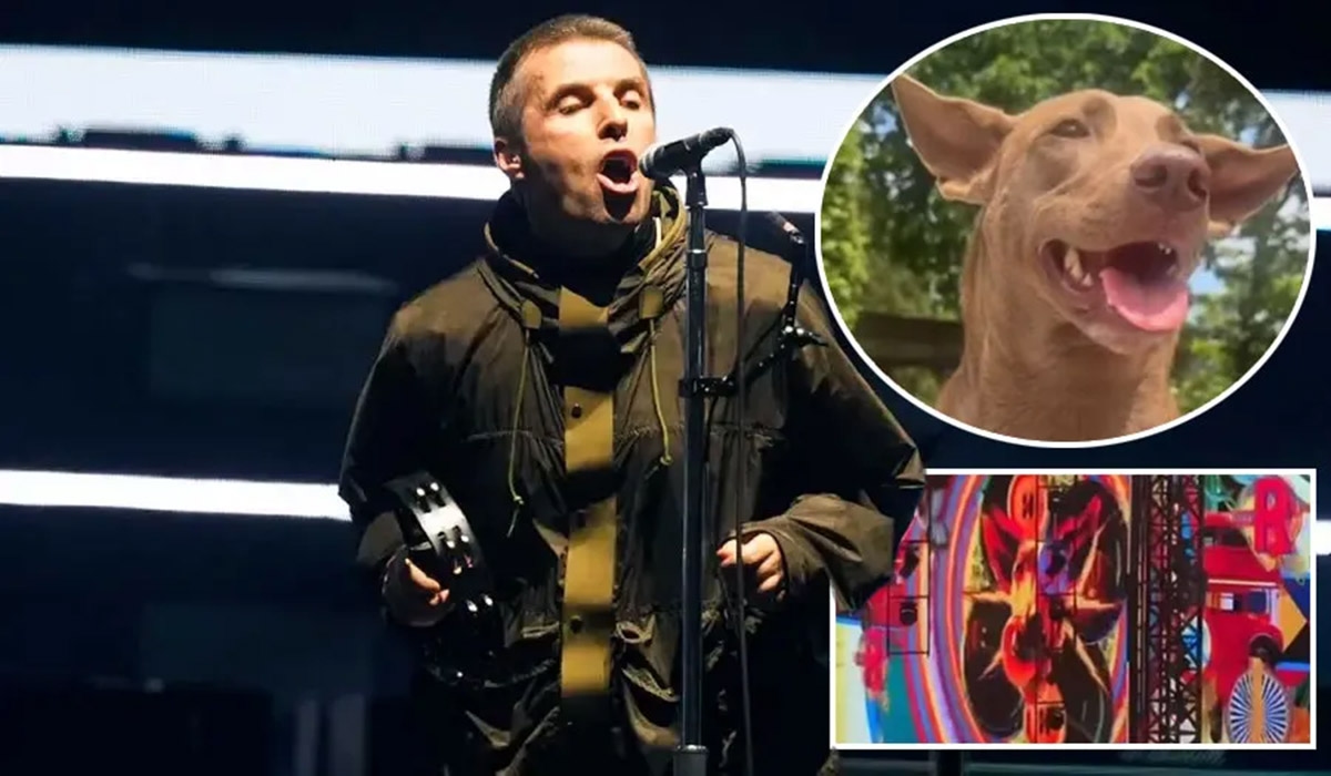 Liam Gallagher pays tribute to dog he adopted from Irishman's rescue shelter