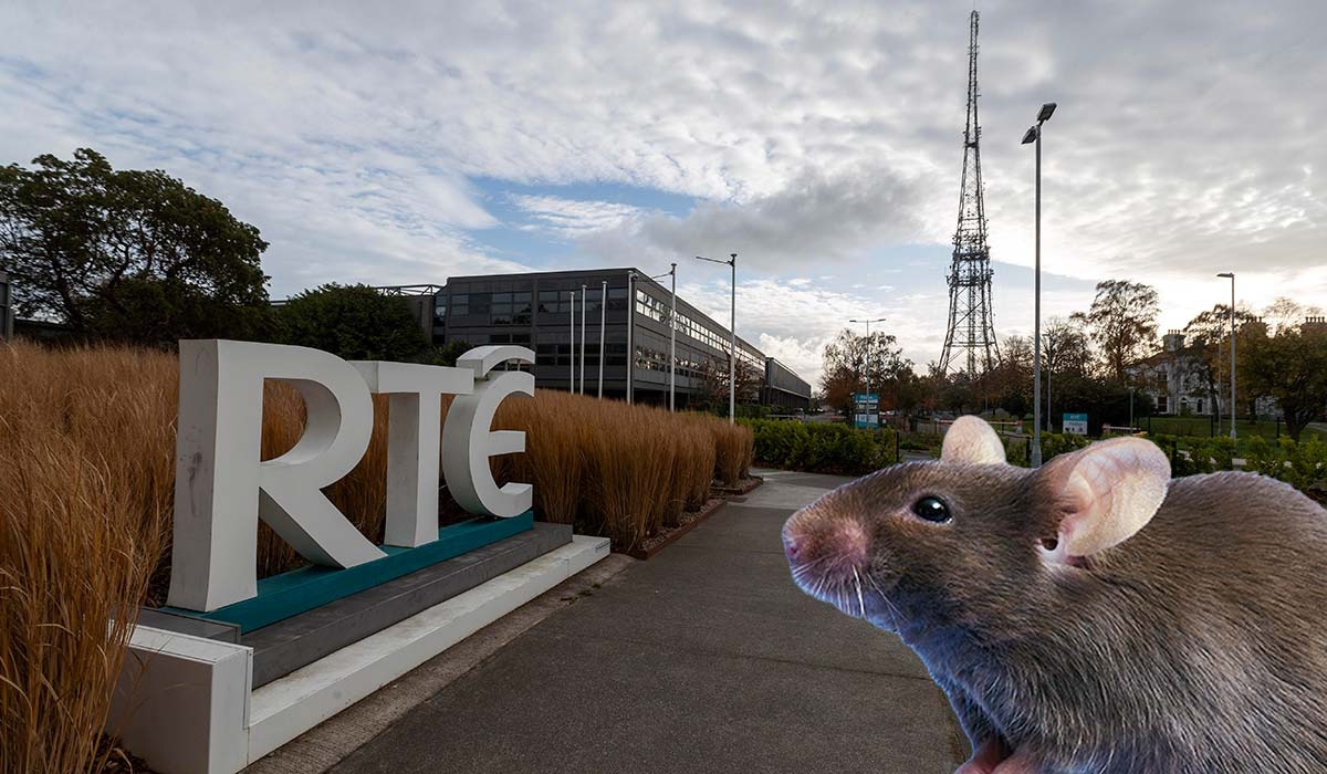 Crèche and canteen shut at RTÉ as rodent droppings found