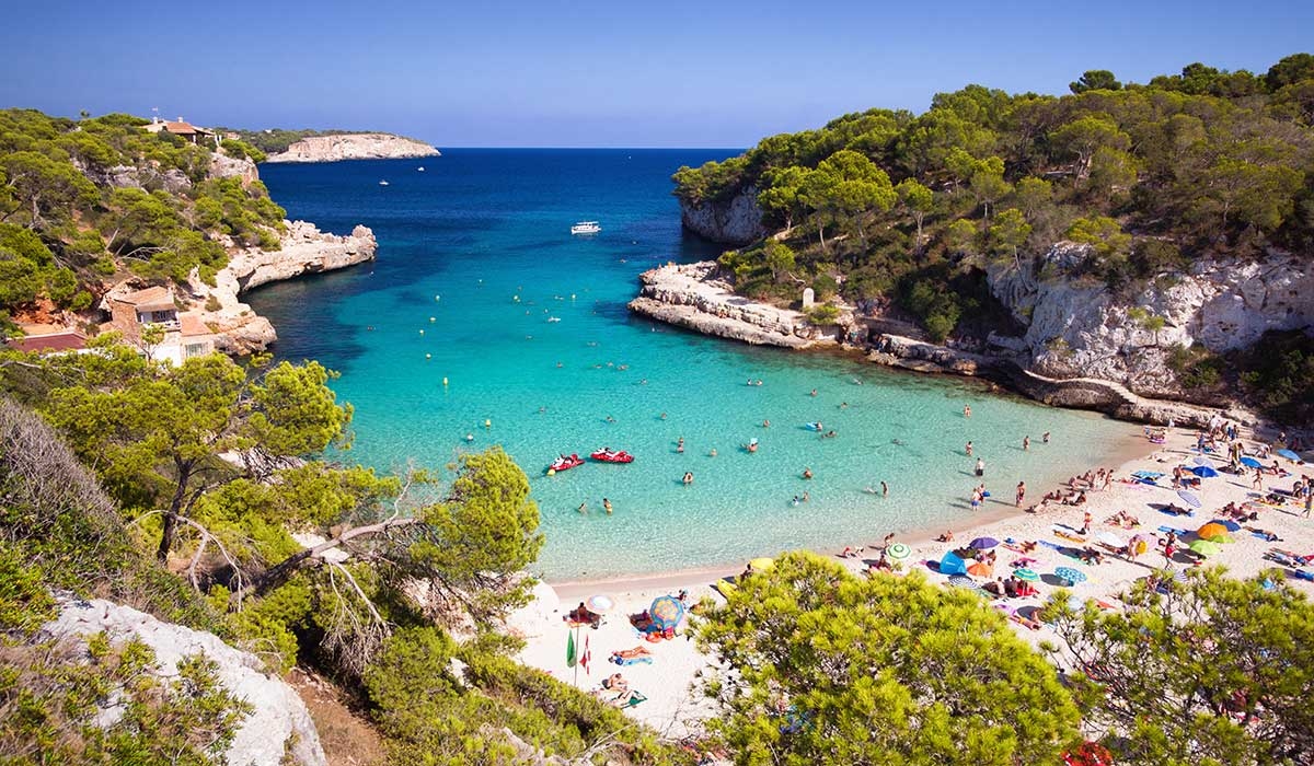 Mozzies, lovebugs, and other nasties waiting in holiday hotspots this summer