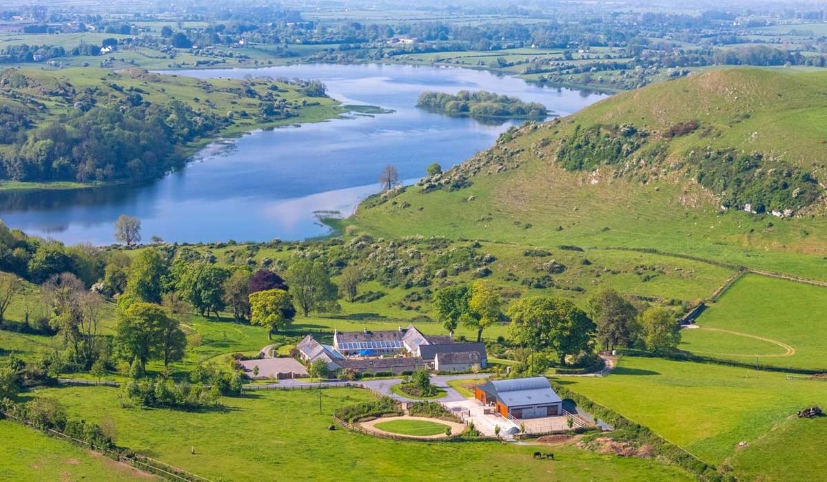 Limerick's most expensive home hits the market and its giving us Saltburn vibes