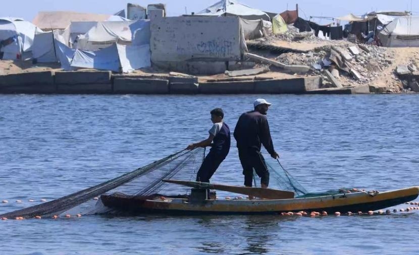 تقرير في غزة.. السمك يُصطاد ولا يُؤكل