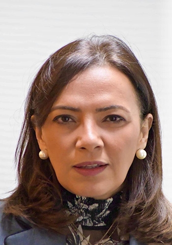 هارفارد تساند غزة
