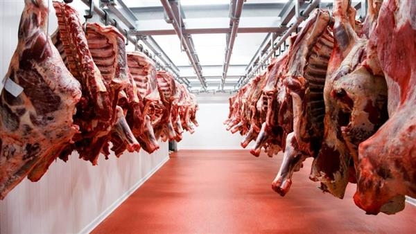 118 ألف جنيه غرامات إقامة شوادر بالطرق العامة بالمنتزه في الإسكندرية
