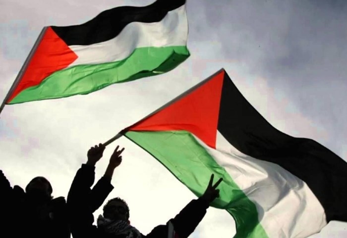 «عوض الله»: مؤتمر السلام يعكس أولوية عالمية للقضية الفلسطينية