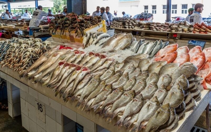 الجمبري يبدأ بـ 175جنيها.. أسعار السمك والمأكولات البحرية في سوق العبور اليوم السبت 26 يوليو 2025