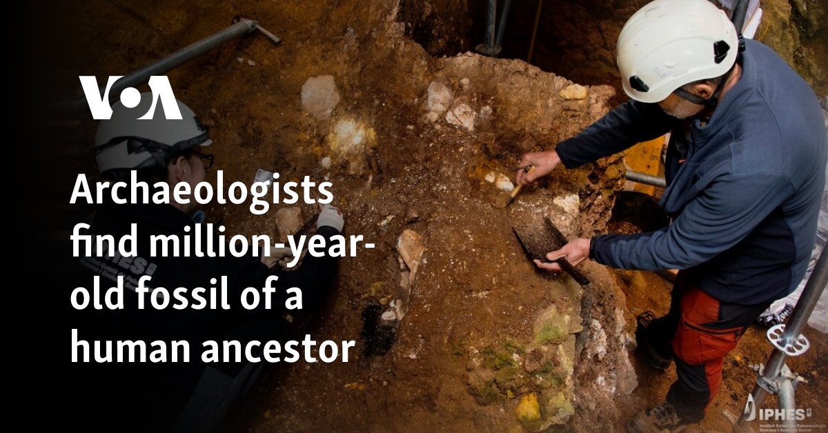 Archaeologists find million-year-old fossil of a human ancestor