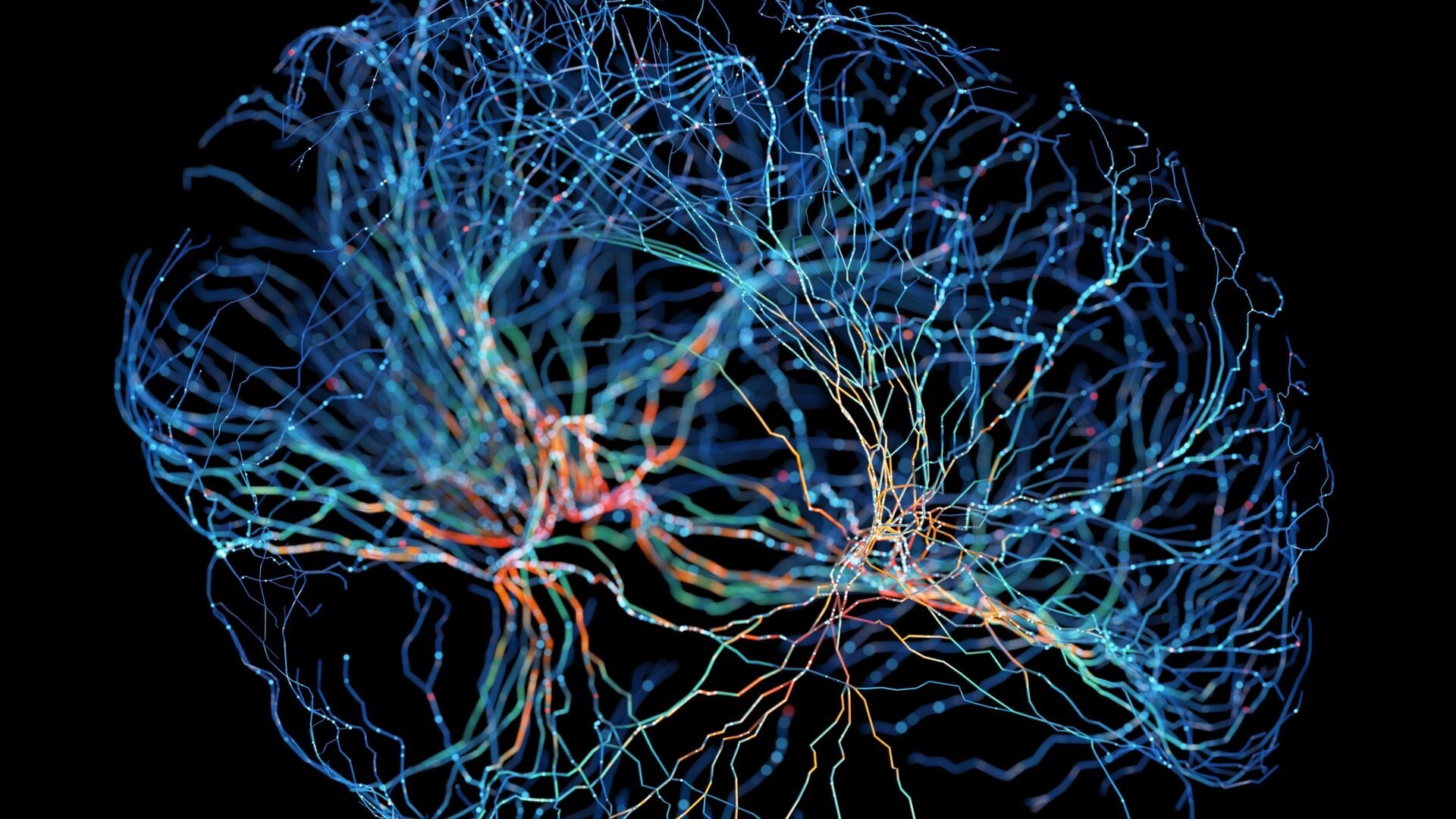 This Survey Asked Neuroscientists If Memories Can Be Extracted From the Dead. Here's What They Said