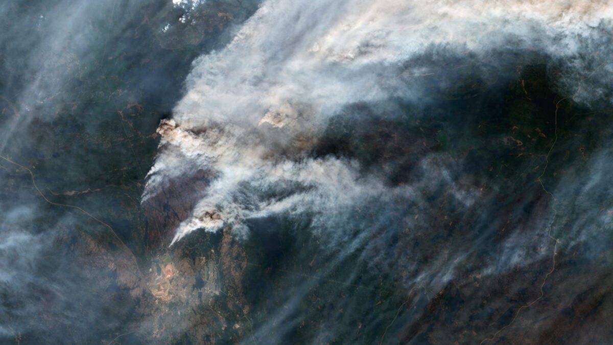 The Upsetting Truth About What Wildfire Smoke Does to Your Body