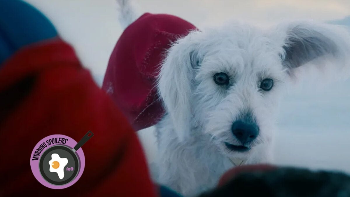 There'll Be No Dog Punching In ‘Superman'