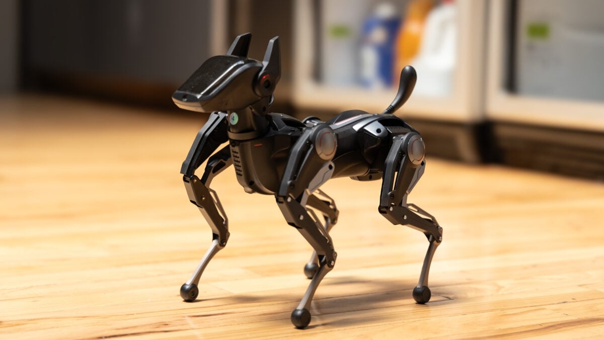 This Robot Dog Is As Good at Walking as I Am at Being a Robot Dog