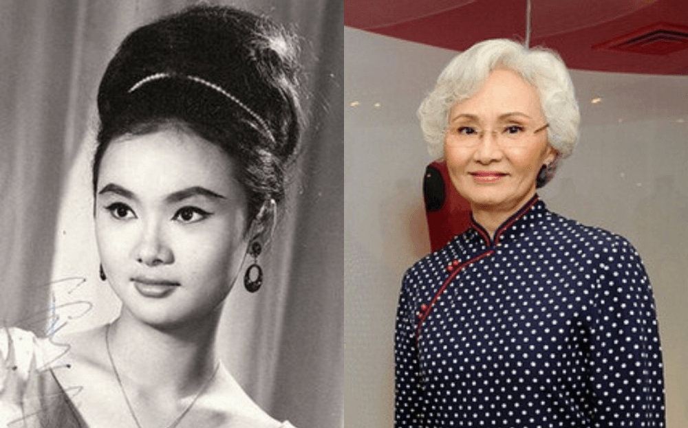 Former HK Actress Suet Nay Passed Away From Cancer One Week After Husband Tong Gai's Passing