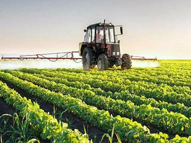 Punjab, UK to collaborate on farming and livestock reforms