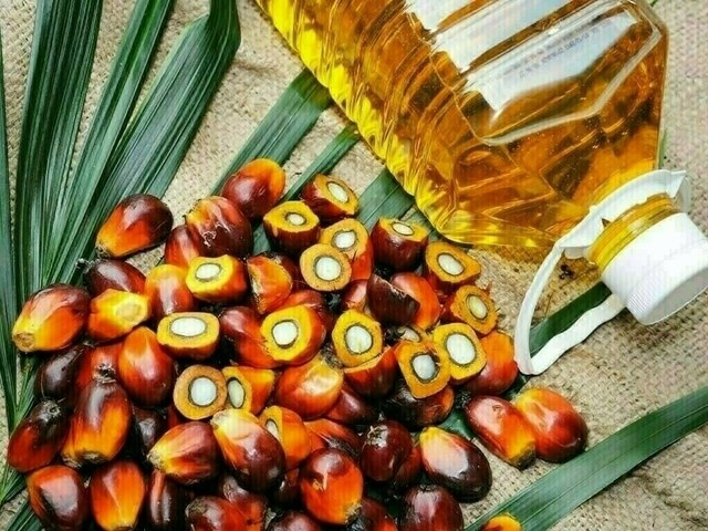 Palm oil ends lower as Middle East tensions weigh