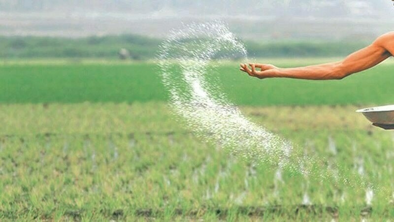 Urea sector: Body decides to extend gas supply until Sept 30