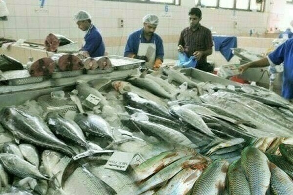 Halal seafood industry: Pakistan, Vietnam agree to expand cooperation