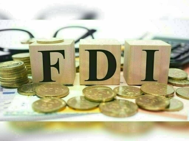 FDI profit repatriation in May-25