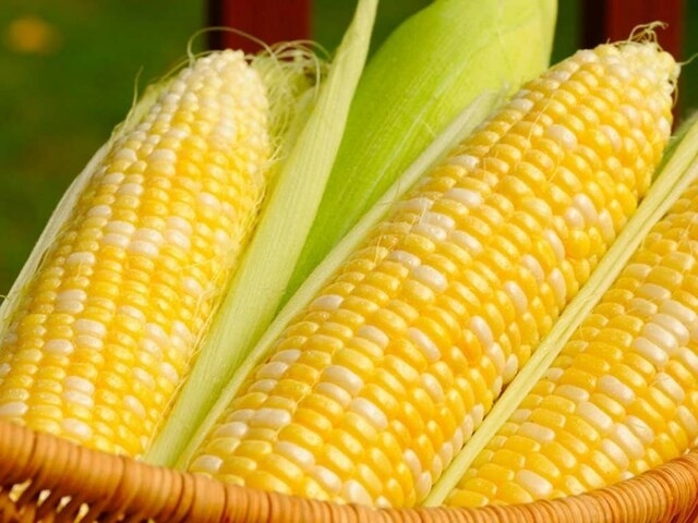 Corn, soybeans fall on supply prospects