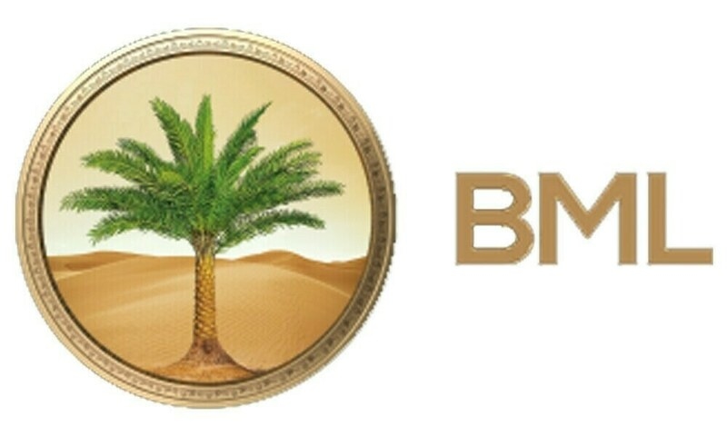 BML accelerates recapitalization with major capital injections
