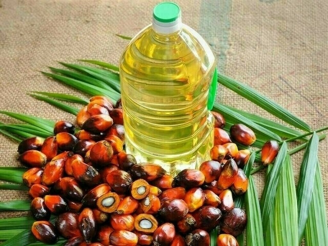 Malaysian palm oil futures rise on strong crude oil