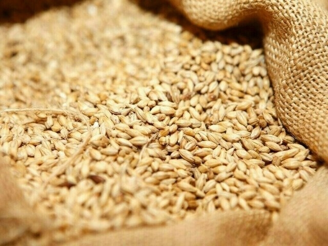 Russian wheat export prices higher