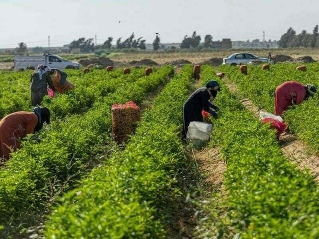 Agri reforms in Pakistan on the cards