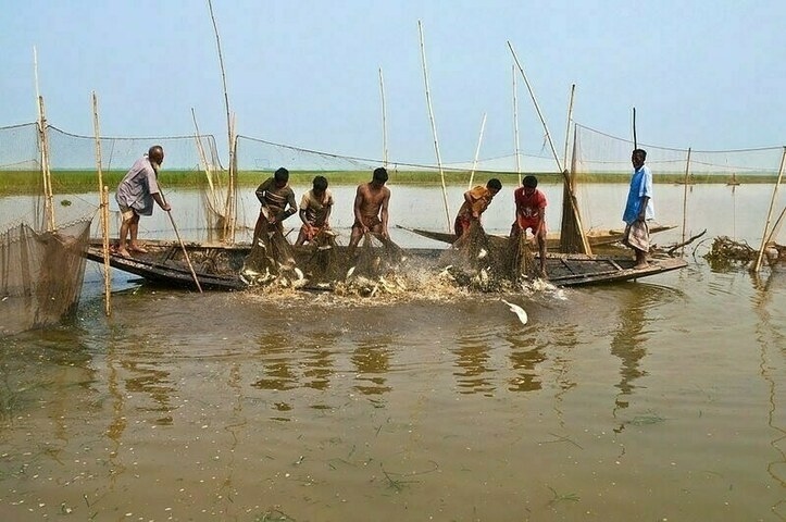 Experts for tapping potential of marine, inland fisheries
