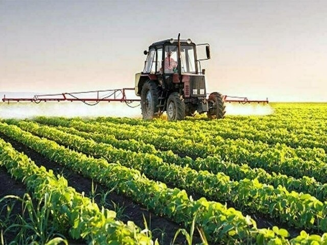 Punjab plans agri reforms to boost productivity: minister