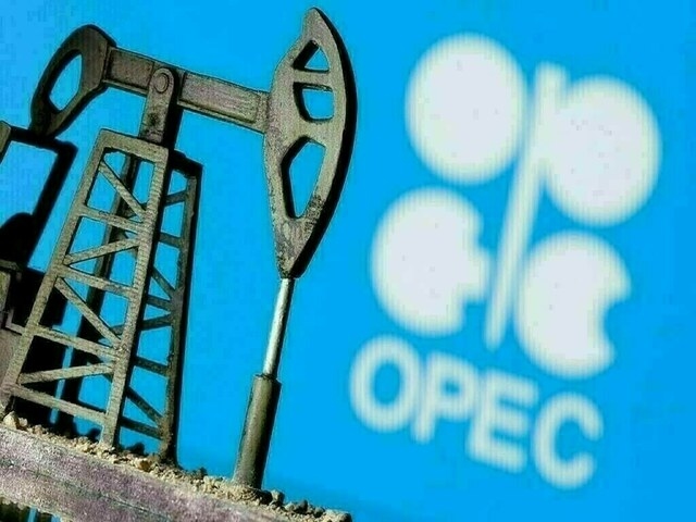 OPEC says world economy may do better in second half of year