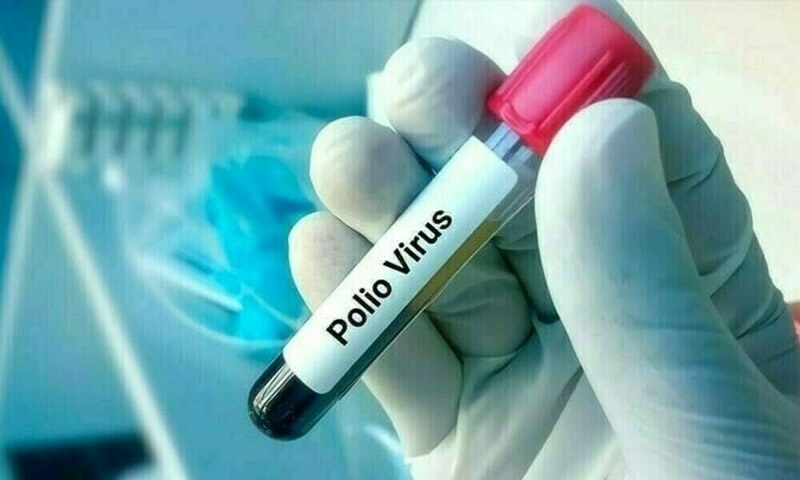NIH confirms three new polio cases