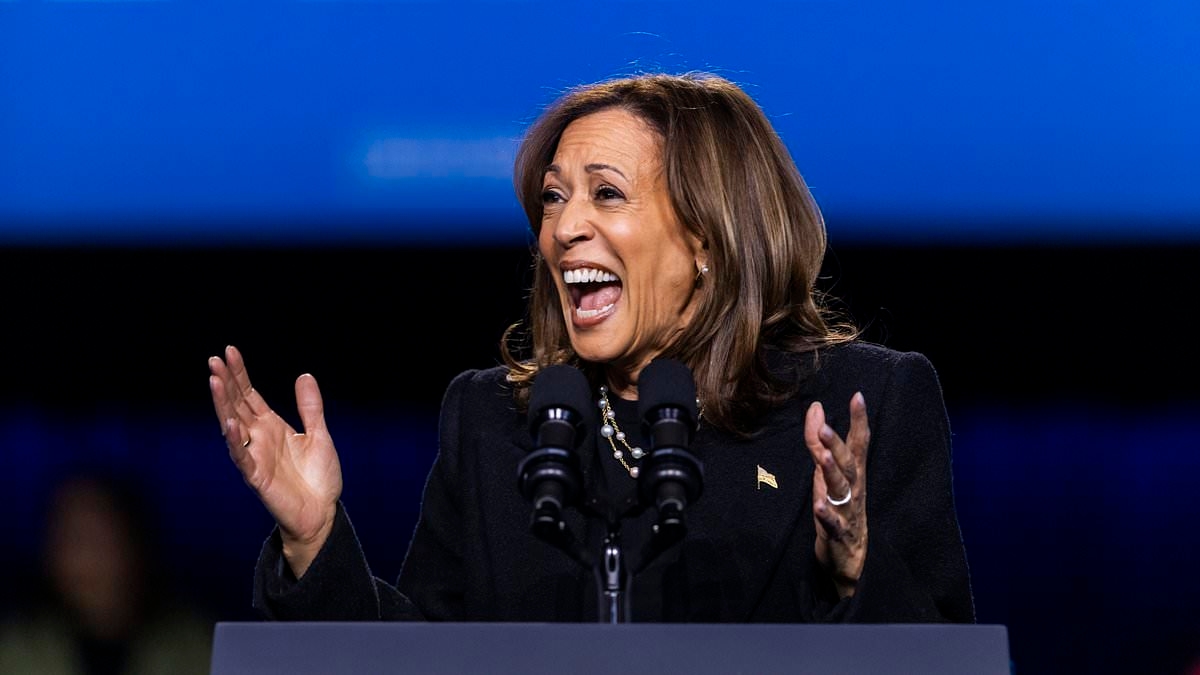 TikToker claims he scrapped 'painful' Kamala Harris interview because he would have been blamed for election loss