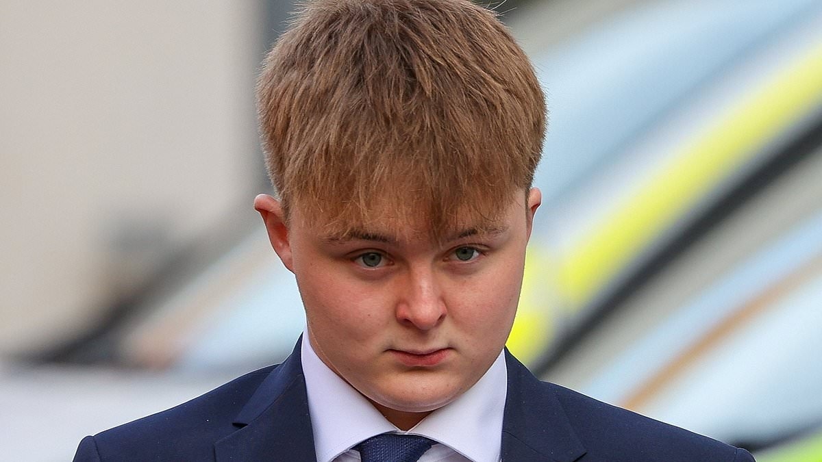 Grieving mothers call for change to driving licences after show-off killed three of his teen friends