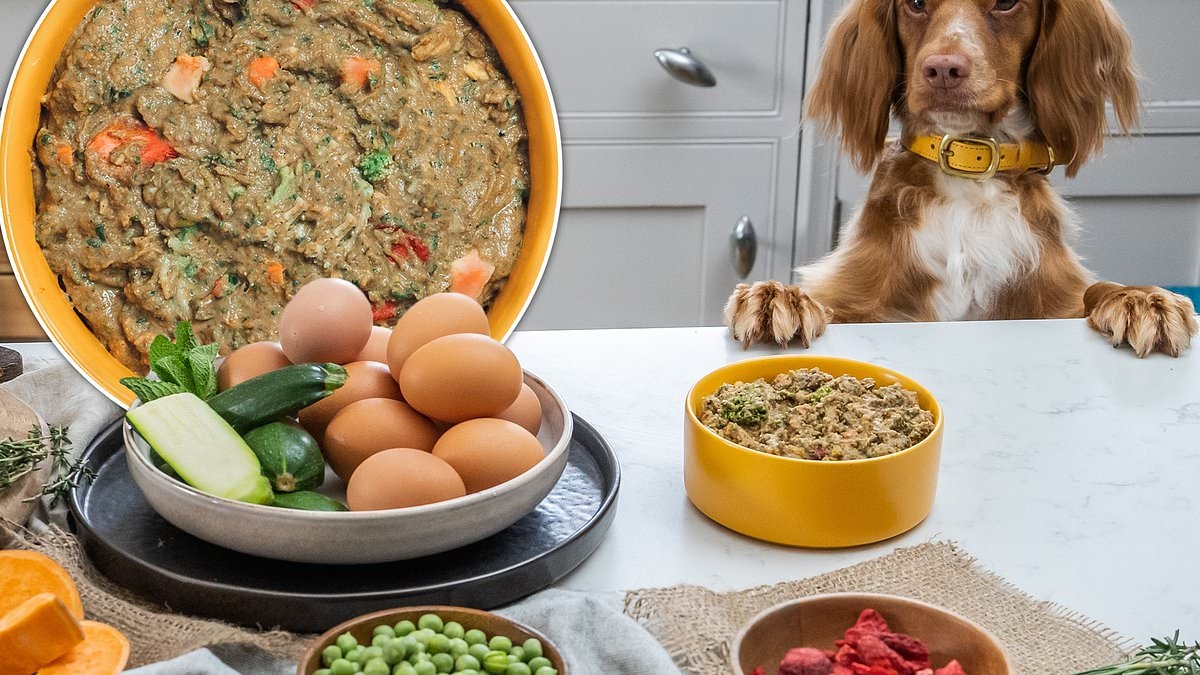 Dog owners praise customisable dog food that 'has noticeable improvement on pets' health' - here's how to get 40% off