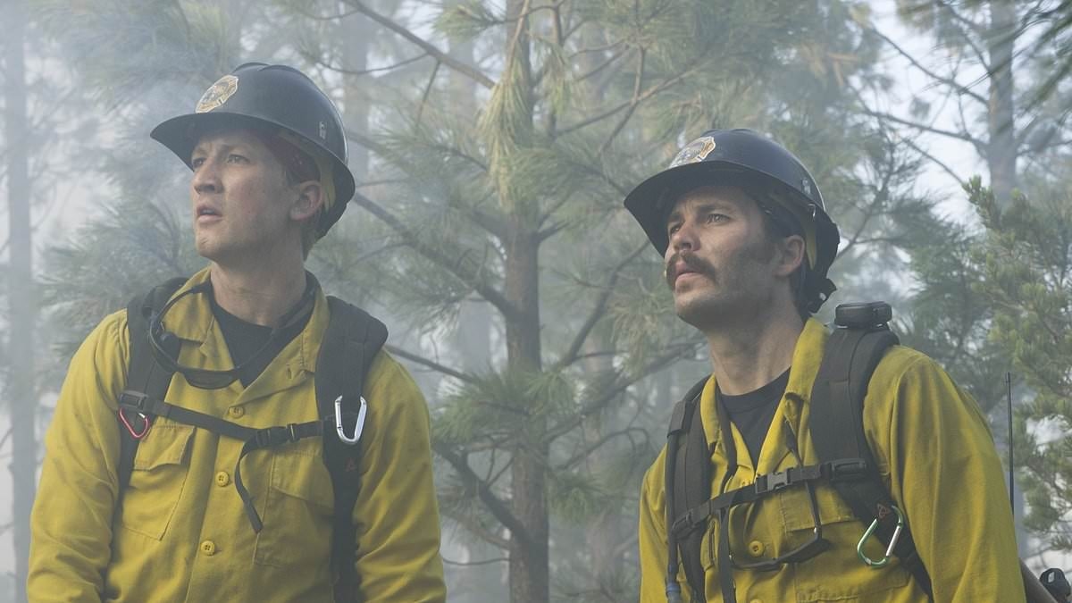 Netflix fans rave over film dubbed 'a masterclass in storytelling 'based on harrowing real events as they're left 'in tears and on the edge of their seats'