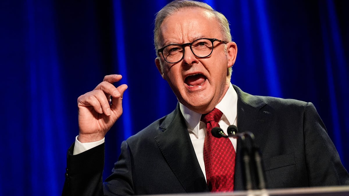 Anthony Albanese to bailout millions of Aussies with student debt: How much you'll be getting