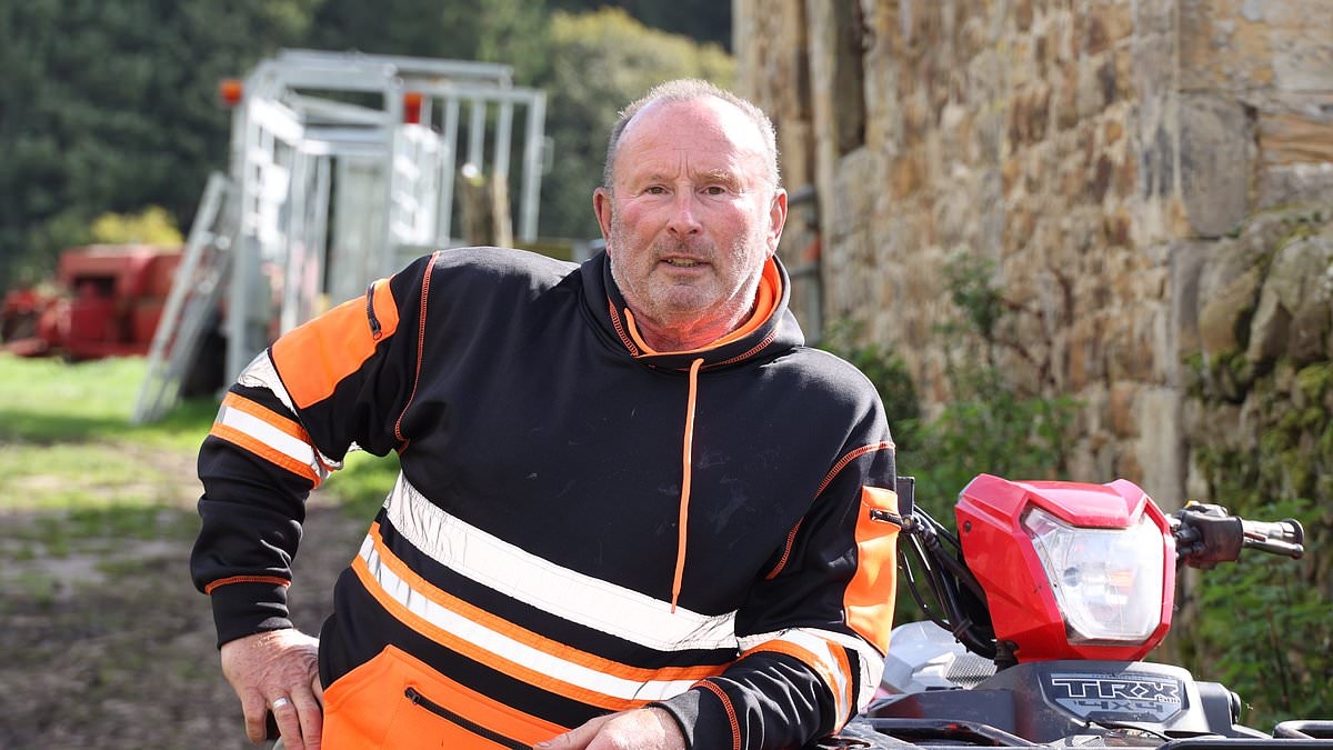 EXCLUSIVE Lumberjack who was falsely accused of chopping down the Sycamore Gap tree 'considered taking his own life' after being arrested for felling the iconic landmark