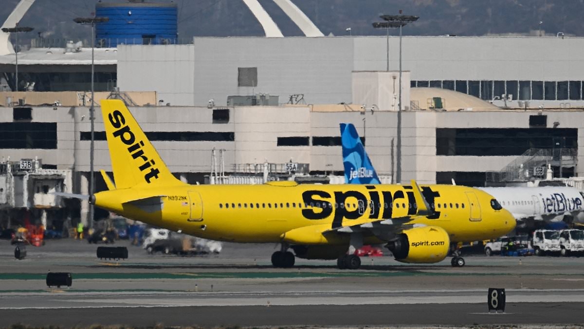 Passenger makes disgusting discovery in Spirit Airlines plane cabin