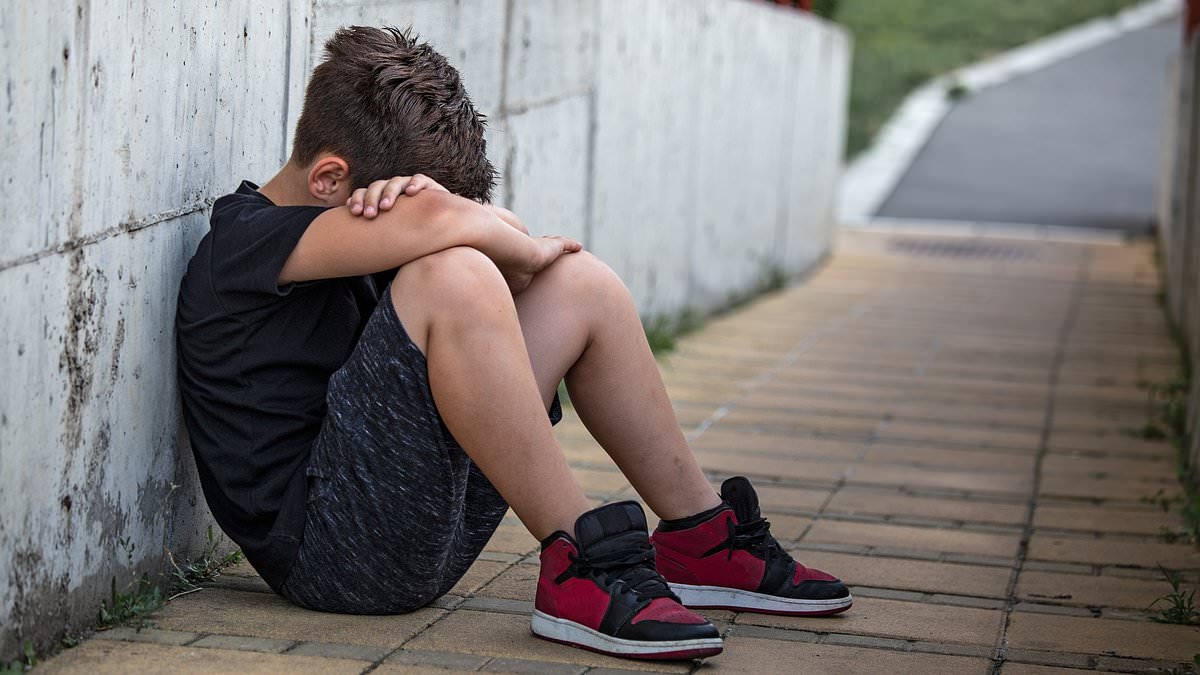 Sydney mum seeks $50,000 in compensation from school after staff member's alleged shocking comment about her son