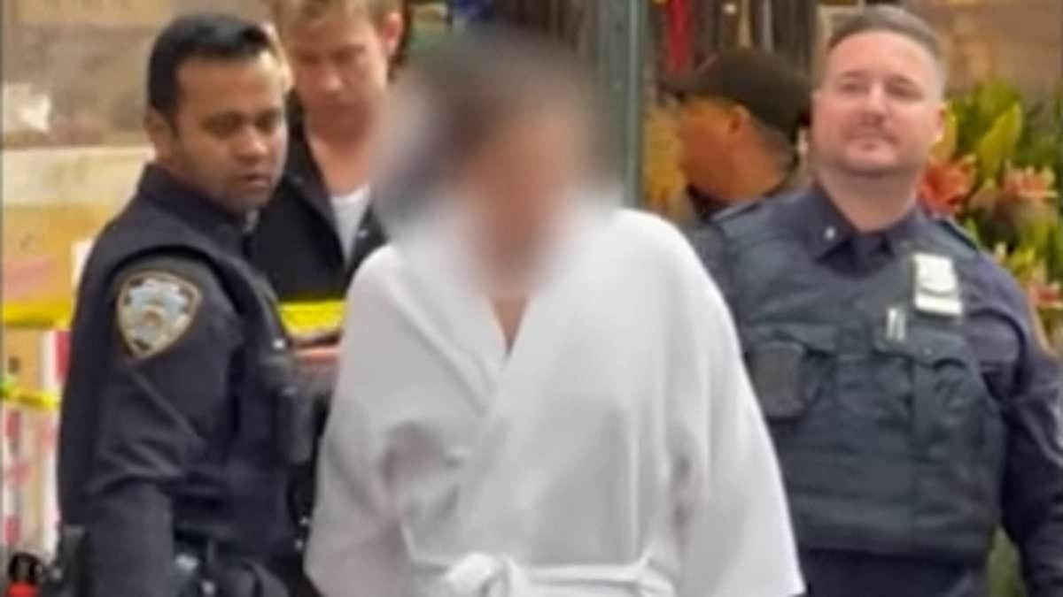 Moment wealthy 'crypto bros' are dragged out of their stunning NYC mansion for kidnapping and torturing their business partner for WEEKS