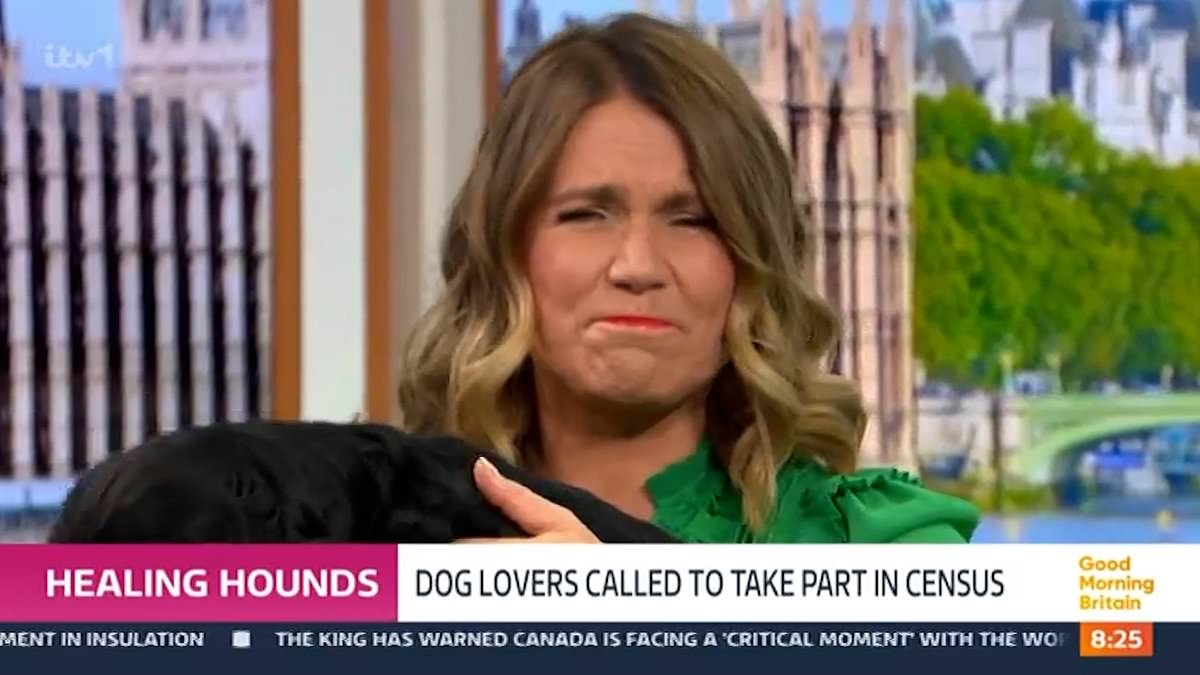 James Middleton stunned as Susanna Reid brazenly admits 'I've barely listened to a word you've said' in car crash Good Morning Britain interview