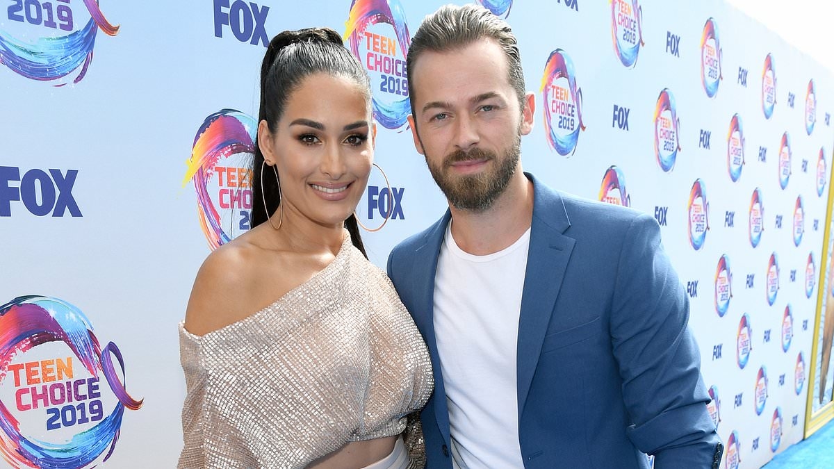 EXCLUSIVE Artem Chigvintsev buys $915k house in Napa Valley after ex Nikki Bella is awarded marital property in divorce settlement