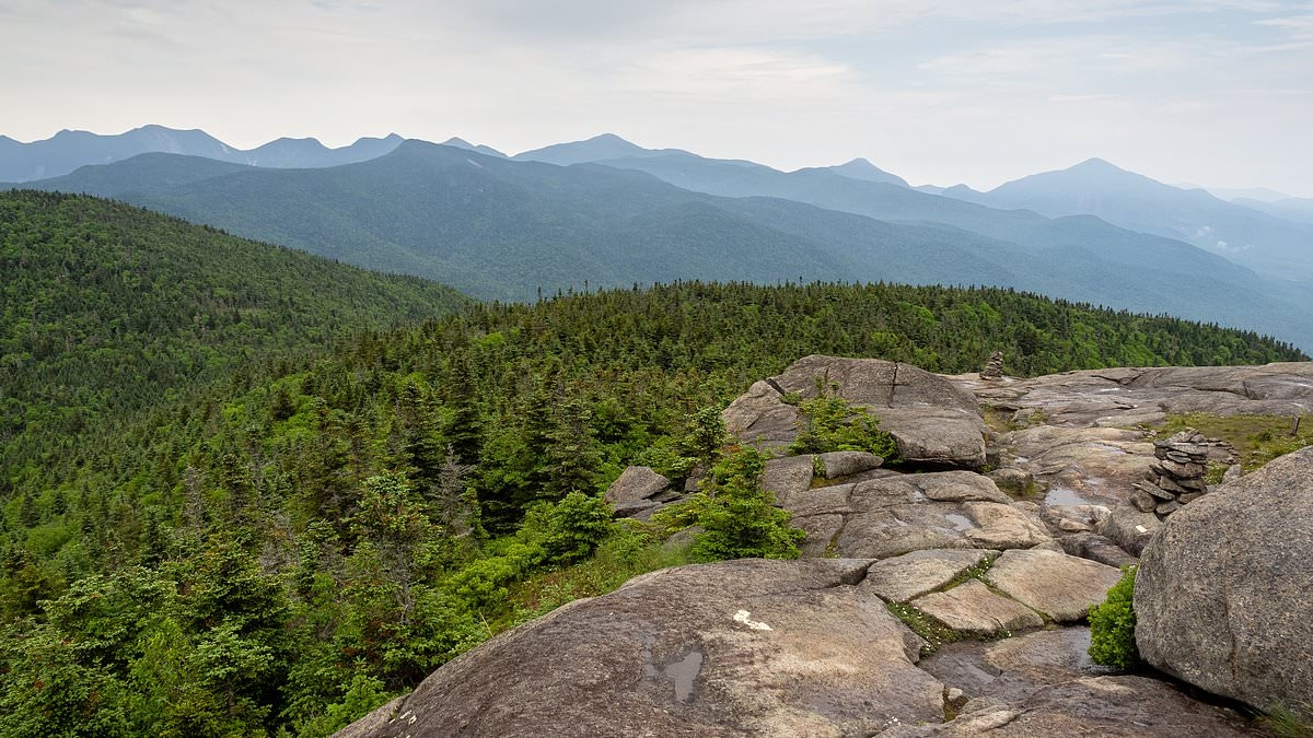 Hikers high on mushrooms when they mistakenly reported pal had died on trail