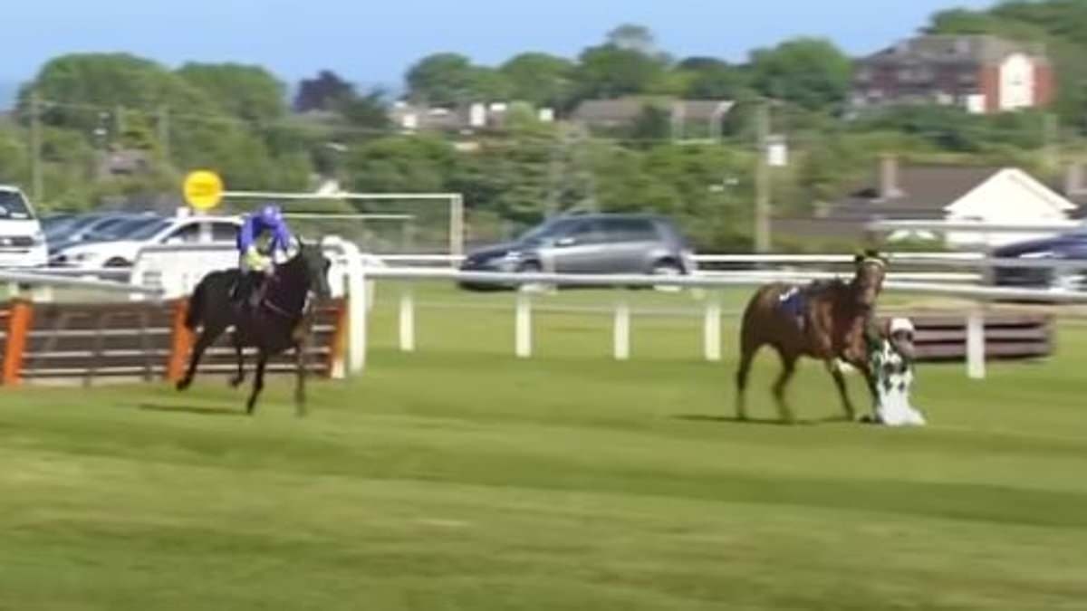 Redwood Queen chaos at Wexford only creates suspicion and distrust in the sport - regulators must provide answers quickly: RACING CONFIDENTIAL