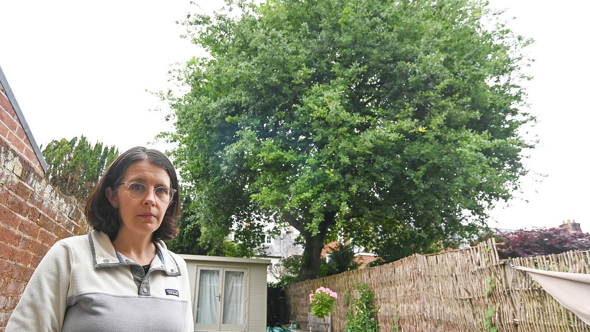 Homeowners at war with council over 45ft high 'Jack and the Beanstalk' oak tree as bosses refuse demands to cut it down despite fears it's a 'danger to life'