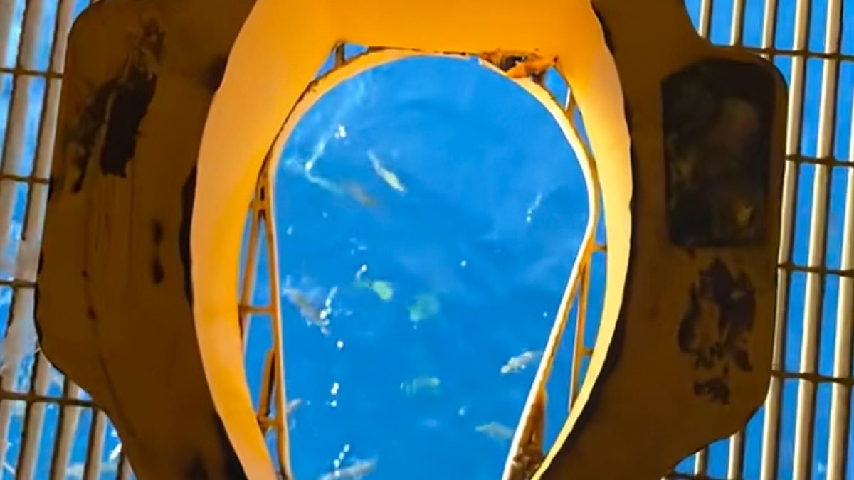 People left terrified after discovering what toilets look like on oil rigs