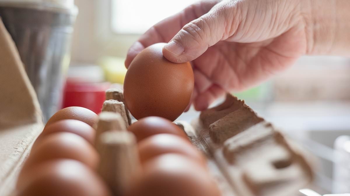 Urgent nationwide recall issued for millions of eggs that could KILL if eaten