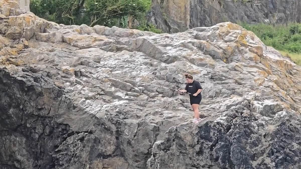 'Cruel' angler 'tries to hook wild seal' at Devon beauty spot