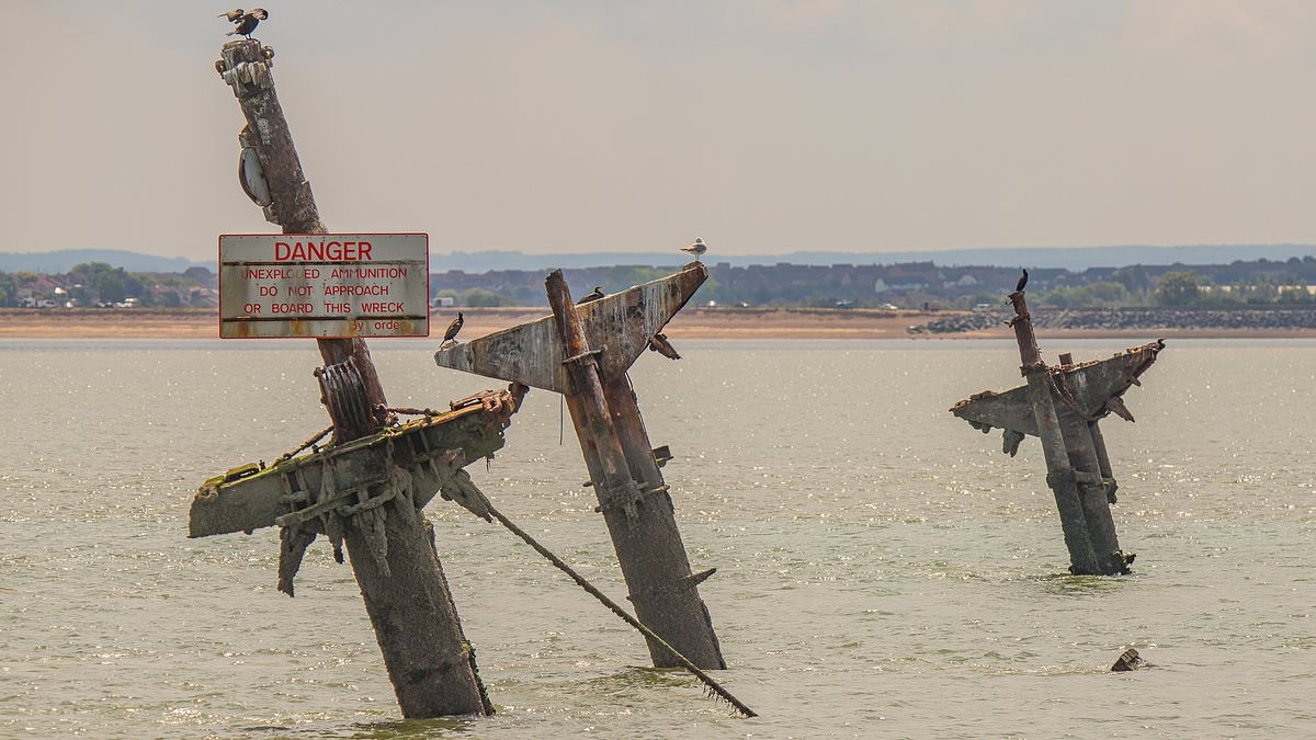 Urgent warning over 'Doomsday wreck' at the bottom of the Thames: Bomb-filled SS Richard Montgomery is edging close to COLLAPSE – as officials frantically impose a no-fly zone over the site
