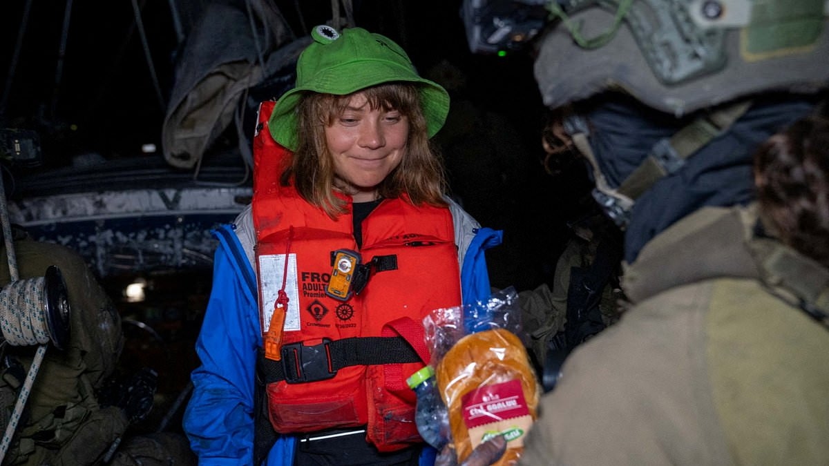 AMANDA PLATELL: Greta chose a shoddy PR stunt, a flimsy ship and ignored the sick truth. This gormless self-styled freedom fighter should stick to saving polar bears