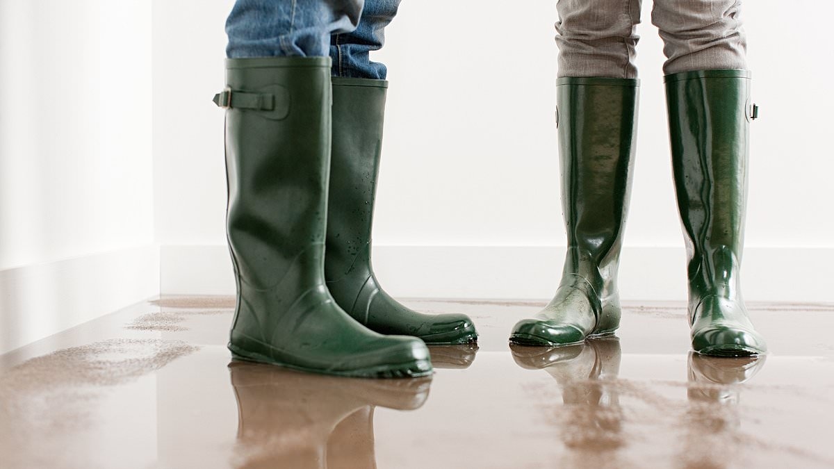 My neighbour flooded my flat but says I have to pay: DEAN DUNHAM reveals exactly how to deal with the dispute PLUS the way you can banish annoying ice cream vans from your road