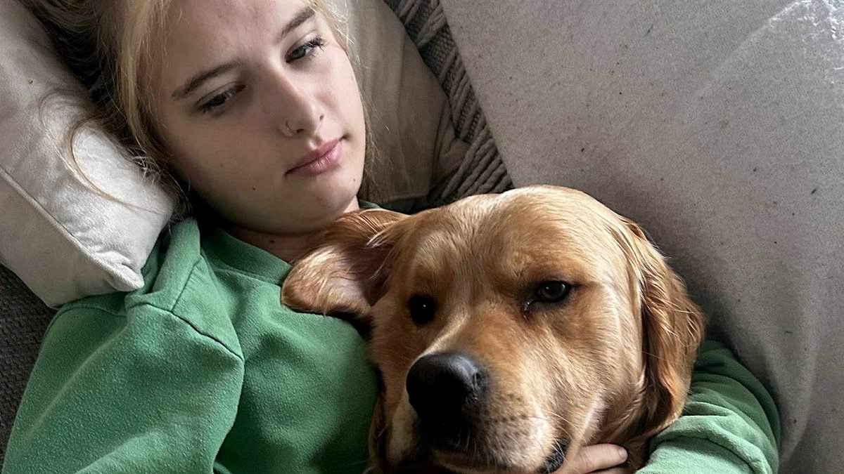 Epileptic teenage girl's support dog who can tell when she is about to have a seizure is missing in the Scottish Highlands